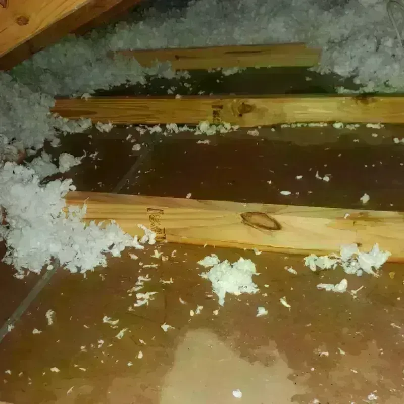 Attic Water Damage in Kingston, IL