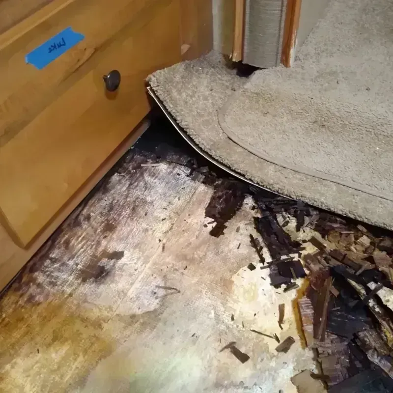 Wood Floor Water Damage in Kingston, IL